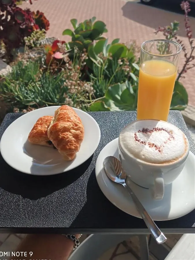 Hotel Le Dauphin Menton